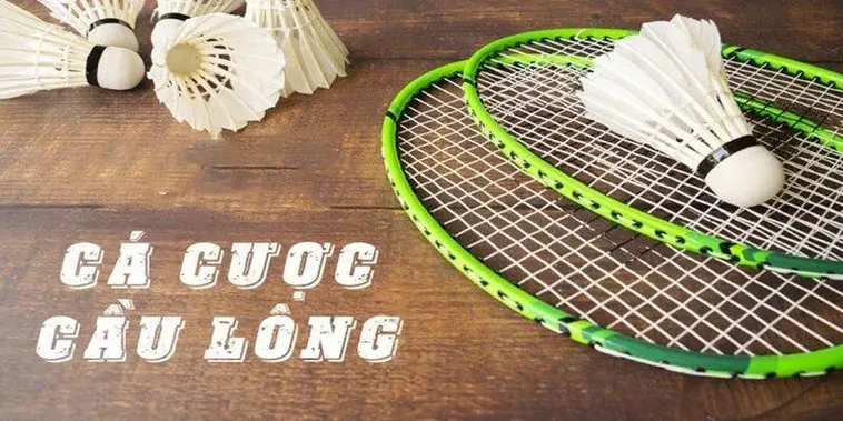 Cách Chơi Cá Cược Cầu Lông Tại GO88 Chi Tiết Cho Người Mới Bắt Đầu